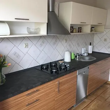 Pokoje I Apartament Do Wynajecia Dan-eko Pensionat
