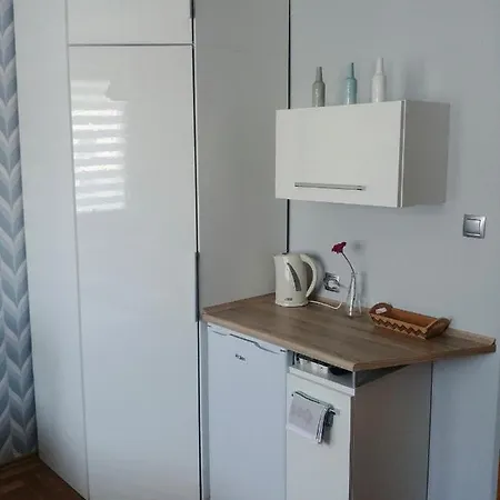 Pokoje I Apartament Do Wynajecia Dan-eko Pensionat *